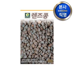 렌즈콩 (렌틸콩) 씨앗 10g . 원예 야채 채소 텃밭 파종 재배 씨 종자