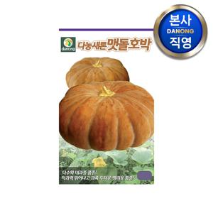 맷돌 호박 씨앗 60립 . 멧돌 야채 채소 텃밭 파종 재배 주말 농장 씨 종자