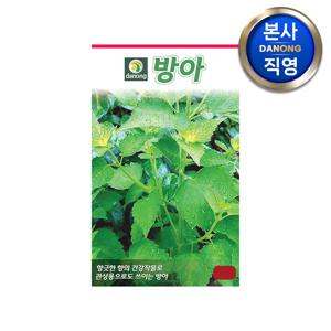방아 (배초향 곽향) 씨앗 1g . 채소 텃밭 재배 주말 농장 파종 씨 종자