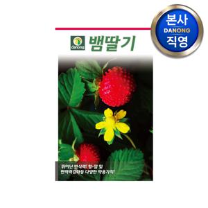 뱀딸기 씨앗 1000립 (0.5g) . 야채 채소 텃밭 재배 파종 씨 종자
