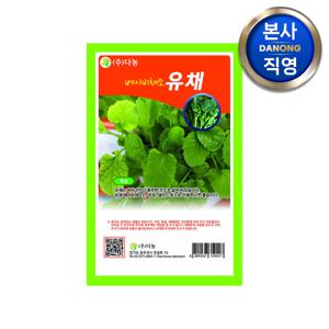 베이비 (샐러드) 유채 씨앗 30g . 무소독 베란다 텃밭 채소 재배 씨 종자