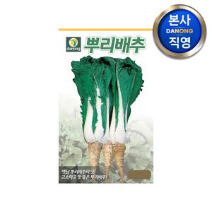 뿌리 배추 씨앗 2000립 . 원예 야채 채소 텃밭 재배 주말 농장 파종 씨 종자