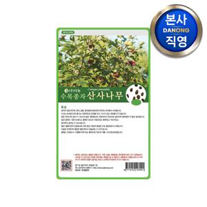산사 나무 씨앗 600g . 수목 식물 씨 종자