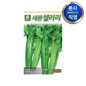 새론 셀러리 씨앗 3000립 . 야채 채소 텃밭 파종 재배 주말 농장 씨 종자