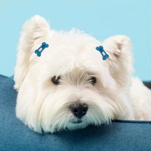 반려동물 뼈다귀 헤어핀 세트