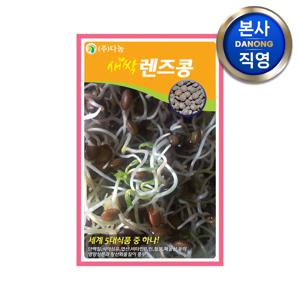 새싹 렌즈콩 (렌틸콩) 씨앗 1kg . 무소독 수경 재배 씨 종자