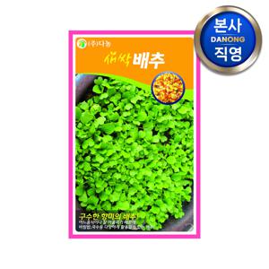 새싹 배추 씨앗 30g . 무소독 채소 수경 재배 씨 종자
