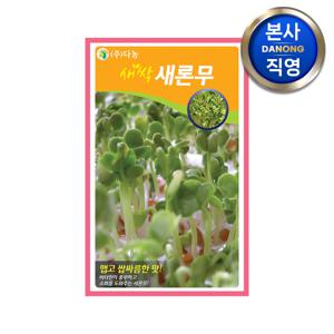 새싹 새론무 씨앗 1kg . 무소독 무순 무싹 채소 수경 재배 씨 종자