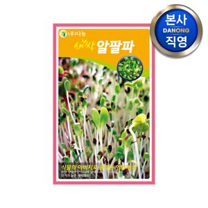 새싹 알팔파 씨앗 1kg . 무소독 채소 수경 재배 씨 종자