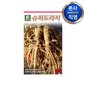 슈퍼 도라지 씨앗 5g . 길경 야채 채소 텃밭 파종 재배 주말 농장 씨 종자