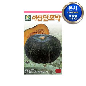 아담 단호박 씨앗 400립 . 야채 채소 텃밭 파종 재배 주말 농장 씨 종자