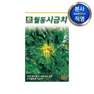월동 시금치 씨앗 40g . 야채 채소 텃밭 파종 재배 주말 농장 씨 종자