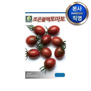 조은블랙 방울 토마토 씨앗 1000립 . 야채 대추형 채소 텃밭 파종 씨 종자