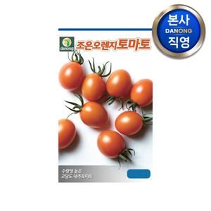 조은오렌지 방울 토마토 씨앗 1000립 . 작은 미니 대추형 채소 텃밭 씨 종자