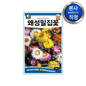 왜성 밀집꽃 씨앗 200립 . 종이 밀짚 관상화 혼색 꽃 드라이플라워 꽃씨 종자