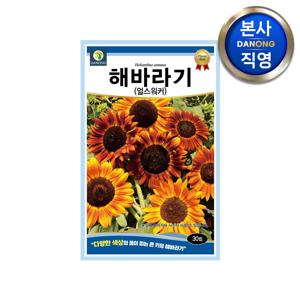 해바라기 얼스워커 씨앗 30립 . 큰키 일년생 야생화 꽃 꽃씨 봄 파종 꽃밭 종자