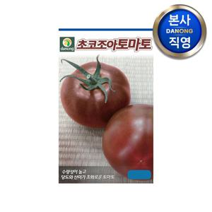 초코조아 토마토 씨앗 1000립 . 큰토마토 채소 베란다 텃밭 씨 종자