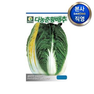 춘황 배추 씨앗 2000립 . 야채 채소 엽채류 김장 봄 파종 텃밭 씨 종자