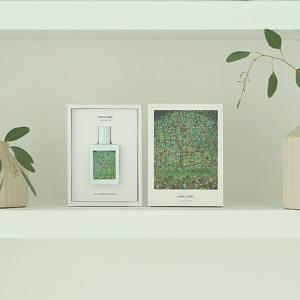 명화향수 사과나무 액자패키지 EDP 50ml