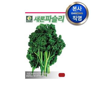 파슬리 (파세리) 허브 씨앗 2g . 채소 텃밭 재배 주말 농장 파종 씨 종자