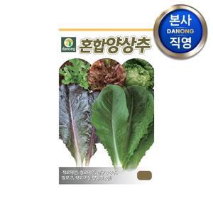 혼합 양상추 씨앗 3g . 야채 채소 텃밭 파종 재배 주말 농장 씨 종자