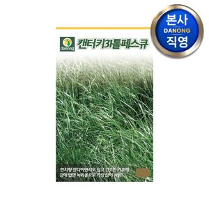 켄터키31톨훼스큐 잔디 씨앗 1kg . 법면 녹화용 비탈면 토양 침식 방지 종자