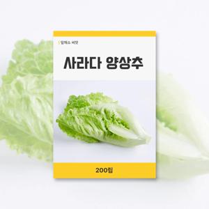 사라다 양상추 씨앗 200립 잎채소 씨앗 새싹 키우기