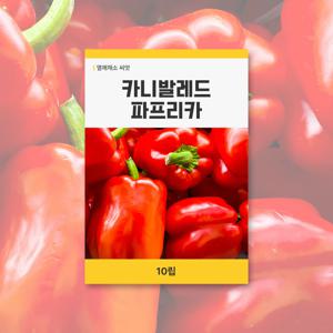 카니발레드 파프리카 씨앗 10립 열매채소 씨앗 새싹 키우기