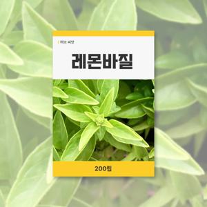 레몬바질 씨앗 200립 허브 잔디 씨앗 새싹 키우기
