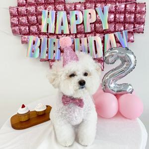 펫 반려동물 강아지 고양이 생일 고깔 모자 리본 넥타이