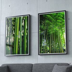 대나무 왕죽도 사진 재물운 풍수 거실 자연 풍경 포스터 액자