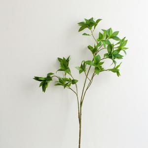 마취목 가지 조화