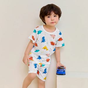 퍼즐디노 자카드 5부