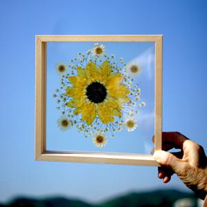 해바라기3 압화 탁상용 벽걸이용 투명 액자 (21*21cm)