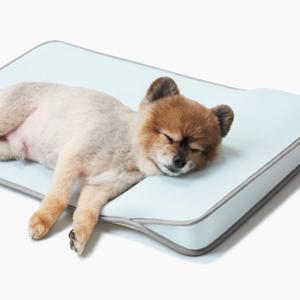 컴포트 에어쿨링 여름 애견 강아지 쿨방석 쿨매트