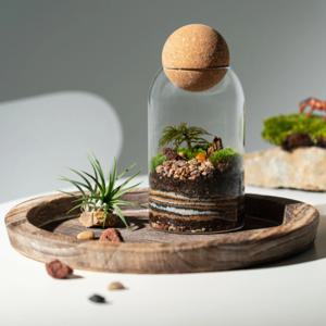비단 이끼 테라리움 만들기 비바리움 테라리움 DIY 재료 미니 테라리움 키트