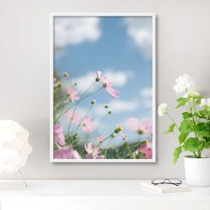 1+1 꽃을 담은 감성사진 32종 - 15. 꽃을 담은 감성사진015