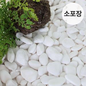 백자갈 흰 자갈 3,6,9kg  정원 장식 화단 마감재