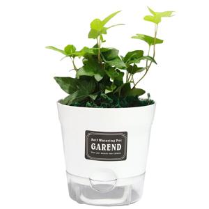 아이비 자동급수가든화분 공기정화식물