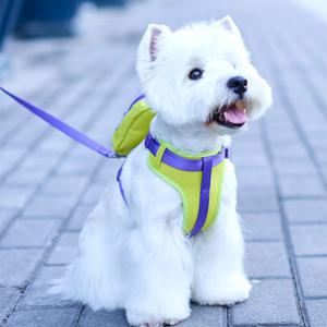 강아지 투웨이 가방하네스 산책 백팩하네스 소형견 고양이