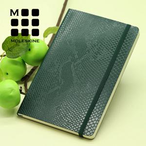 한정판 / 비제아 보아그린-룰드 라지 / 무료인쇄