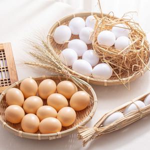 달걀 모형 12P 세트 (5cm)