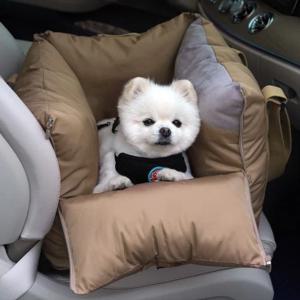 애견 강아지 카시트 패리스독 이동가방 드라이빙킷 사계절용