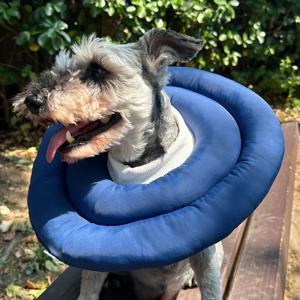 강아지 넥카라 애견 고양이 UFO 목보호대 네이비