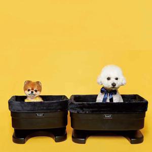 펫시트 S 소형견 하드 카시트