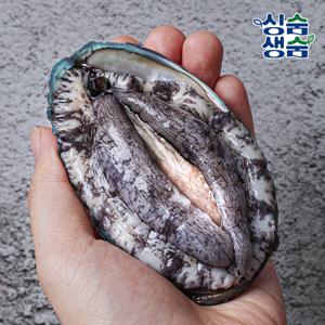 국내산 완도 활전복 프리미엄 500g(3~5미)+전복칼