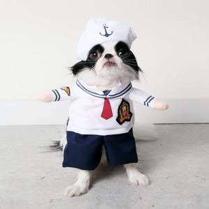 애견코스튬 마린룩 강아지옷