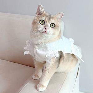 고양이옷 요거트 뷔스티에 원피스 그루밍방지 실내복