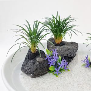 화산석 수초 (대/중/소) 1P 수경식물 힐링 인테리어 소품 홈가드닝 수반 어항 장식