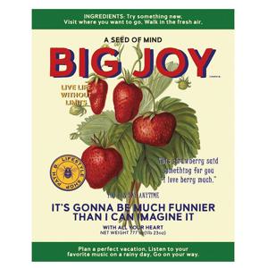 마음의 씨앗 BIG JOY 딸기포스터